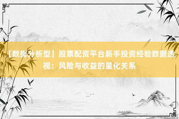 【数据分析型】股票配资平台新手投资经验数据透视：风险与收益的量化关系