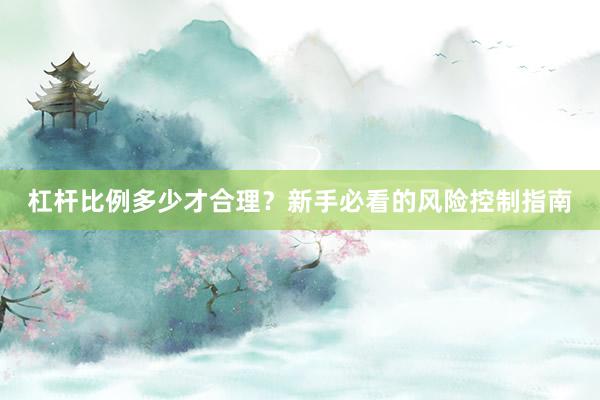 杠杆比例多少才合理？新手必看的风险控制指南