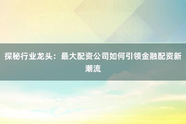 探秘行业龙头：最大配资公司如何引领金融配资新潮流