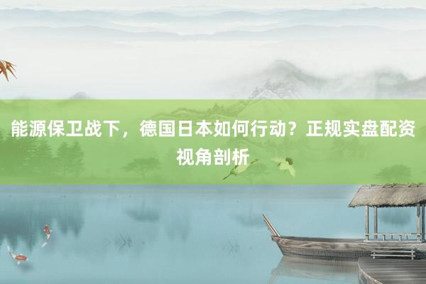 能源保卫战下，德国日本如何行动？正规实盘配资视角剖析