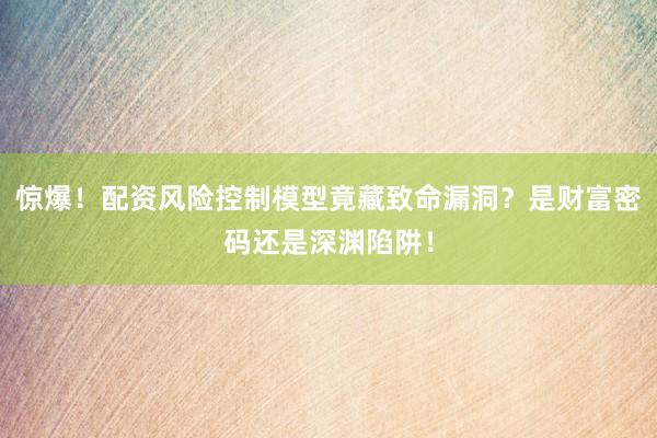 惊爆！配资风险控制模型竟藏致命漏洞？是财富密码还是深渊陷阱！