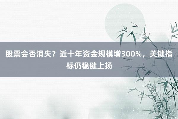 股票会否消失？近十年资金规模增300%，关键指标仍稳健上扬