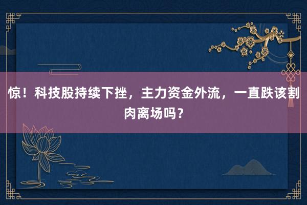 惊！科技股持续下挫，主力资金外流，一直跌该割肉离场吗？