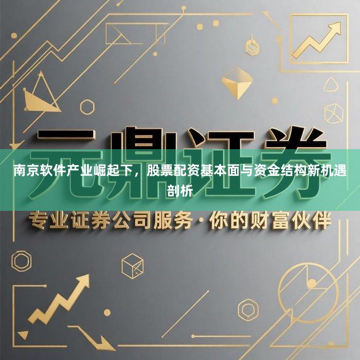 南京软件产业崛起下，股票配资基本面与资金结构新机遇剖析