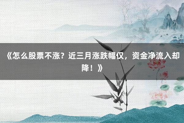《怎么股票不涨？近三月涨跌幅仅，资金净流入却降！》