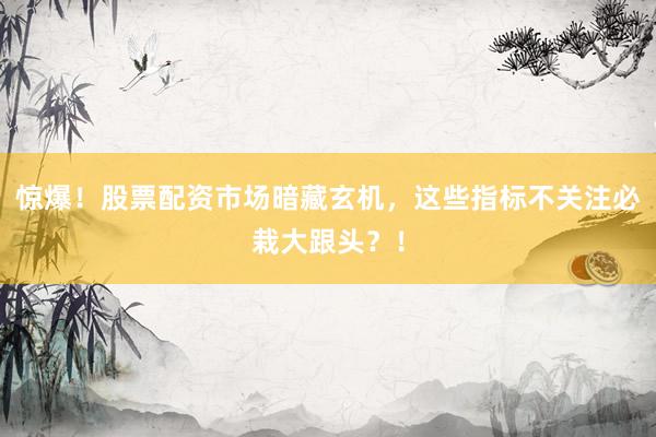 惊爆！股票配资市场暗藏玄机，这些指标不关注必栽大跟头？！